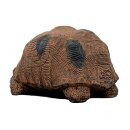 WILDCRETE 3D Turtle