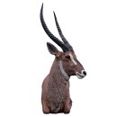 WILDCRETE 3D Waterbuck [Forwarding Agent]