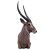 WILDCRETE 3D Waterbuck [Forwarding Agent]