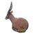 WILDCRETE 3D Waterbuck [Forwarding Agent]