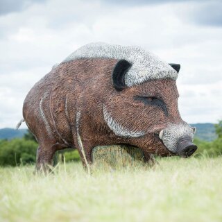 WILDCRETE 3D Wild Boar [Shipping Agent]