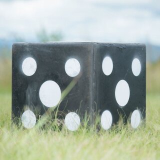 WILDCRETE 3D Cube