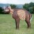 WILDCRETE 3D Small Hyena