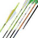 Komplettpfeil | SHOCQ Inceptor 4.2 - 12er Pack
