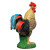 IBB 3D Hahn