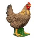 IBB 3D Henne