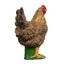 IBB 3D Henne