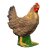 IBB 3D Henne