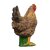 IBB 3D Henne