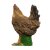 IBB 3D Henne