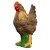 IBB 3D Henne