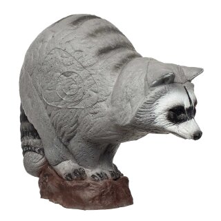 IBB 3D Waschbär - Zorro