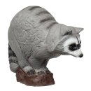 IBB 3D Waschbär - Zorro