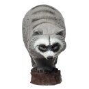 IBB 3D Waschbär - Zorro