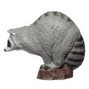 IBB 3D Waschb&auml;r - Zorro