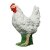 IBB 3D Henne - weiss