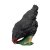 IBB 3D Henne - schwarz - pickend