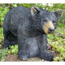 FRANZBOGEN - Honey Bear Running