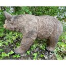 FRANZBOGEN - Honey Bear Running