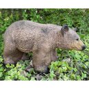 FRANZBOGEN - Honey Bear Running