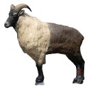 SRT Himalayan Goat