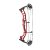 HOYT Enduro - 40-70 lbs - Compoundbogen