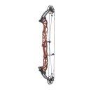 HOYT Concept XTS 40 CDM - 30-70 lbs - Compoundbogen