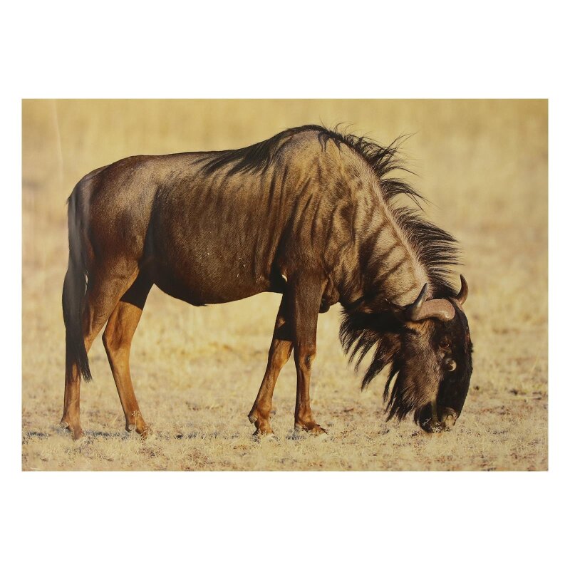 STRONGHOLD Animal Target Face - Gnu 30 x 42 cm hydropho