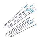 Complete Arrow BLACK STAR Premium - up to 32 inches -...